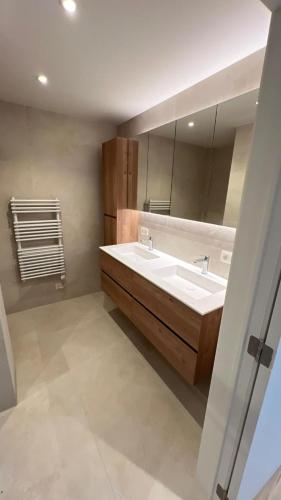 a bathroom with a sink and a mirror at Deluxe home garden and pool optional pm in Kortenberg
