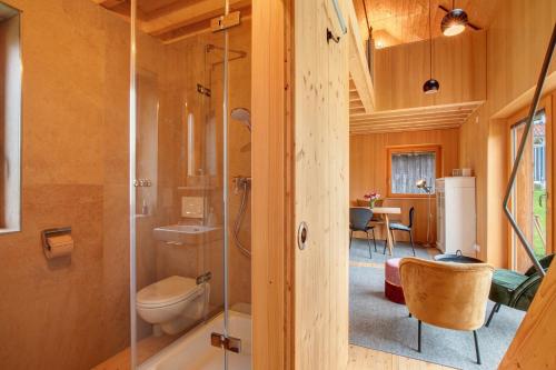 a bathroom with a toilet and a glass shower at Tinyhaus am Bussen in Unlingen