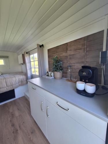 eine Küche mit einer Theke mit zwei Schüsseln darauf in der Unterkunft Westerhoeve in Petten