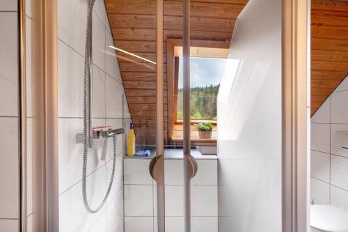 a bathroom with a shower and a window at Altes Zollhüsli in Schluchsee