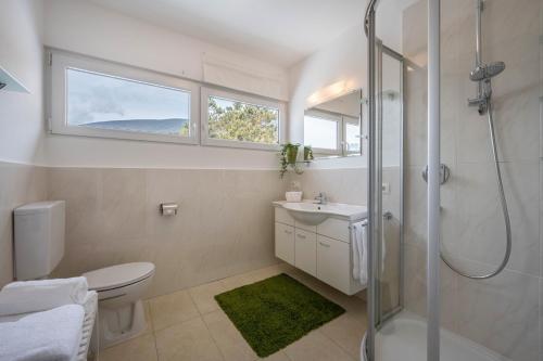 a bathroom with a shower and a toilet and a sink at Apartment Sciadules in Ortisei