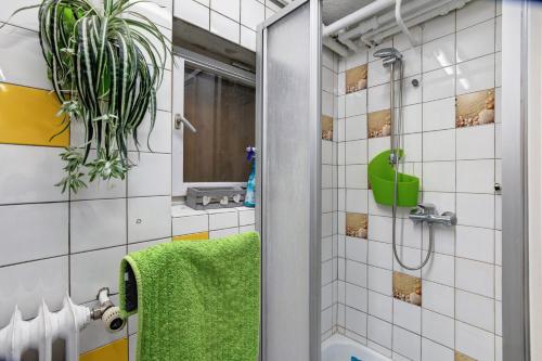 a bathroom with a shower with a green towel at Ferienhaus beim Alenbrunnen in Münsingen