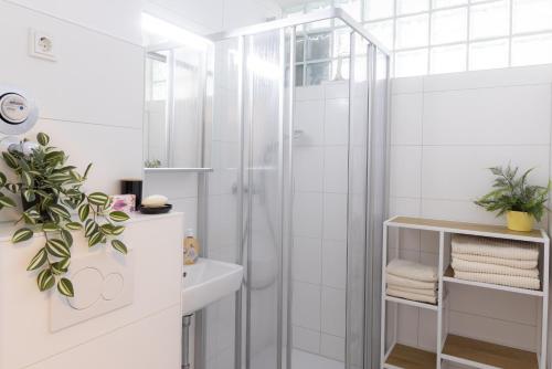 a white bathroom with a shower and a sink at Herzlichstharz - Klein und Fein in Bad Lauterberg