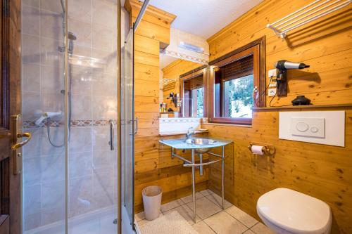 a bathroom with a shower and a toilet and a sink at Appartement Génépi dans Chalet 14p in Praranger