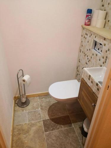 a small bathroom with a toilet and a sink at Agréable Chalet 3 étoiles App 3 in Courchevel