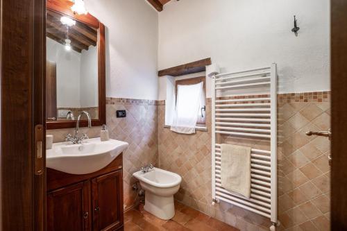 a bathroom with a sink and a toilet and a mirror at App.to Colline - Casetta di Ugolino in Radicofani