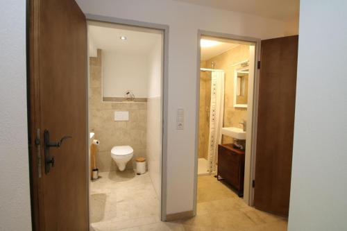 a bathroom with a toilet and a sink at Bergchalet Zirbenzapfen in Judenburg