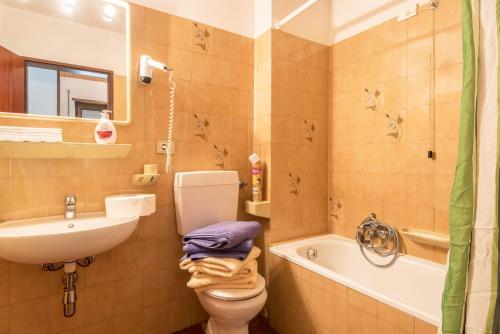 a bathroom with a toilet and a sink and a tub at Pension Sonia App 104 in Funes