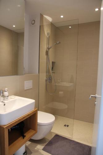 a bathroom with a shower and a toilet and a sink at Ferienwohnung Strandgut in Glücksburg