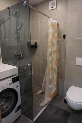 a shower in a bathroom with a washing machine at Kaiju Apartment 15 in Liepāja