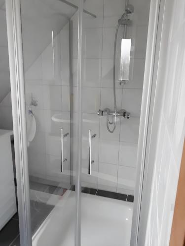 a shower with a glass door in a bathroom at Bei Heike 1 in Zetel