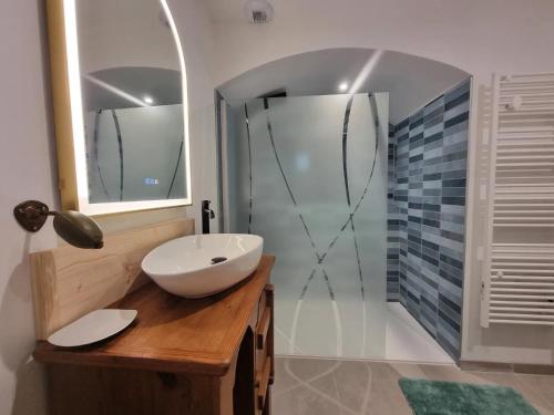 a bathroom with a sink and a shower at L'Ecole Buissonnière de Mazalibrand in Mazet-Saint-Voy