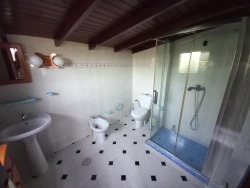 ein Badezimmer mit Dusche, Toilette und Waschbecken in der Unterkunft La Carpintera in Tijarafe