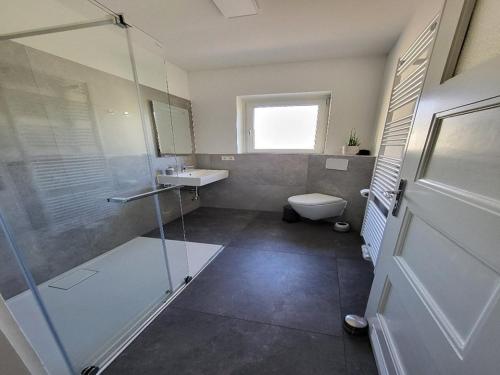a bathroom with a shower and a toilet and a sink at Ferienwohnung Stachel A in Konstanz