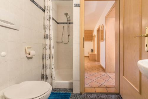 a bathroom with a toilet and a shower at Oberwieserhof App 3 in San Lorenzo di Sebato