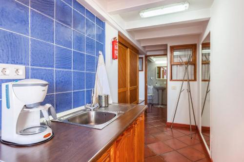 a kitchen with a mixer and a sink at Casa Victor - Apartment 2 in La Orotava