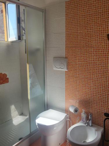 a bathroom with a toilet and a shower and a sink at Elena's Guest House in Urbino
