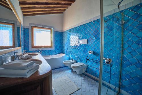 a blue tiled bathroom with a toilet and a shower at Agriturismo Petra in Suvereto