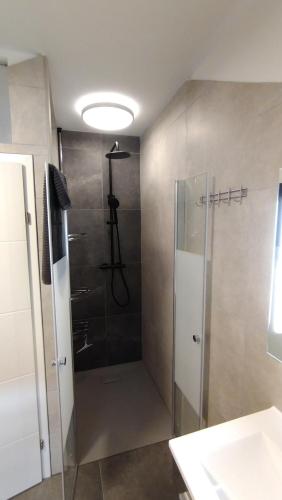 a shower with a glass door in a bathroom at Ferienhaus Kesper in Schottwien