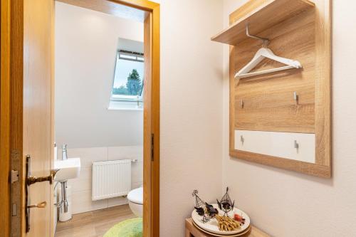 a bathroom with a toilet and a sink and a mirror at Furtwengler in Oberharmersbach
