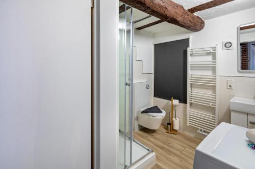 a bathroom with a toilet and a glass door at im Fachwerk in Alsfeld