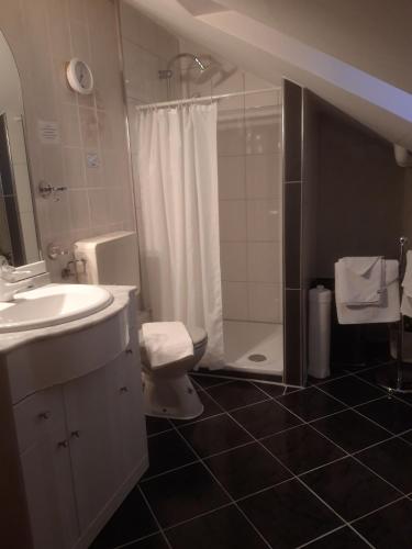 a bathroom with a sink and a toilet and a shower at Schwäbische Alb in Gomadingen