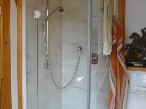 a shower with a glass door in a bathroom at Ferienwohnung Naturhaus, 50qm in Allensbach