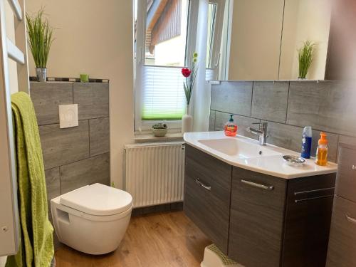 a bathroom with a white toilet and a sink at Haus Steffine in Annahütte
