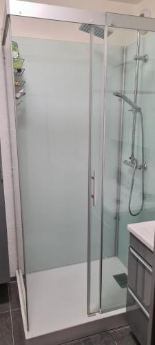 a shower with a glass door in a bathroom at Balcons Du Soleil -Conciergerieland in Saint-Paul-lès-Dax