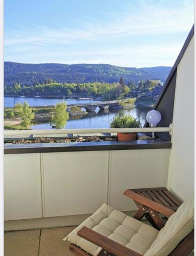 a balcony with a view of a river at Apartment Blackforest-Schluchsee in Schluchsee