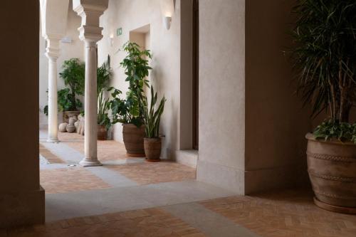 Magno Collection Palacio de Becas photo 90