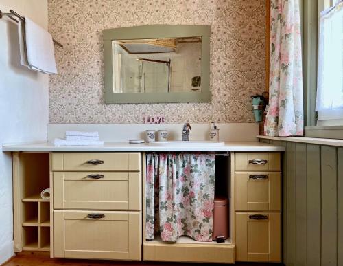 a bathroom with a sink and a mirror at Kanne Honeymoon Apartment in Trichtingen
