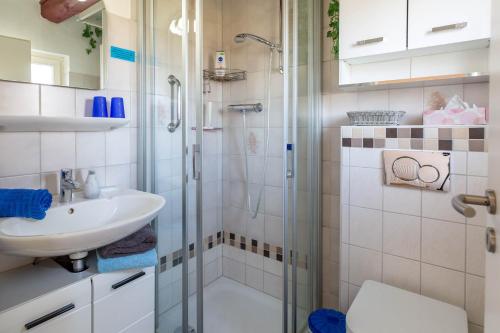 a bathroom with a shower and a sink and a toilet at Dat Möhlenhus Peter Jensen in Pellworm