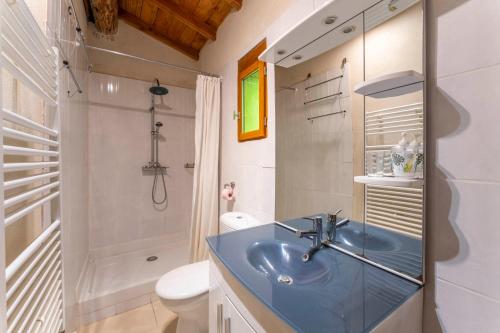 a bathroom with a blue sink and a toilet at La Petite Palasse in Le Thor