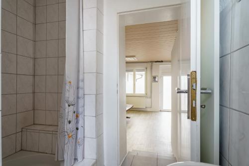 a bathroom with a shower and a toilet in a room at Apartment 19 in Schutterwald