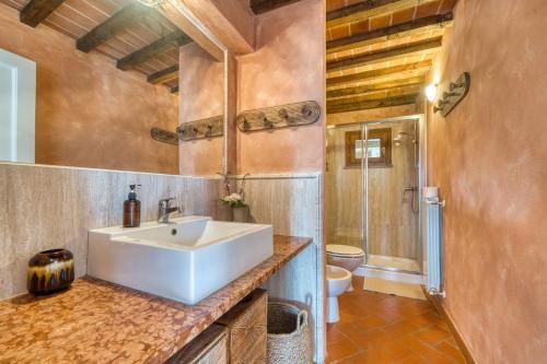 a bathroom with a sink and a toilet at Casa Conte Martini in Palaia