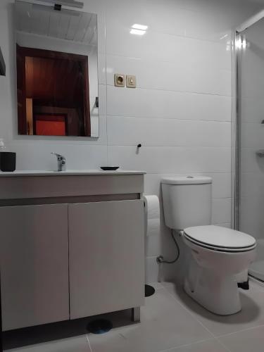 a bathroom with a toilet and a sink at Casa Da Azenha in Baião