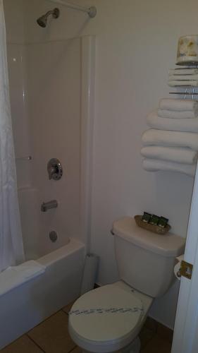 a bathroom with a toilet and a shower and towels at Cactus Tree Inn in Oliver