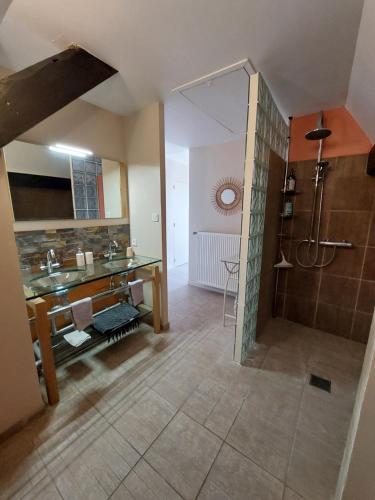 a large bathroom with a shower and a sink at Le Cocon Des Roches in Cessieu