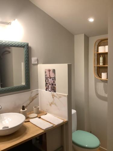 a bathroom with a sink and a toilet and a mirror at Au duplex in Chantonnay