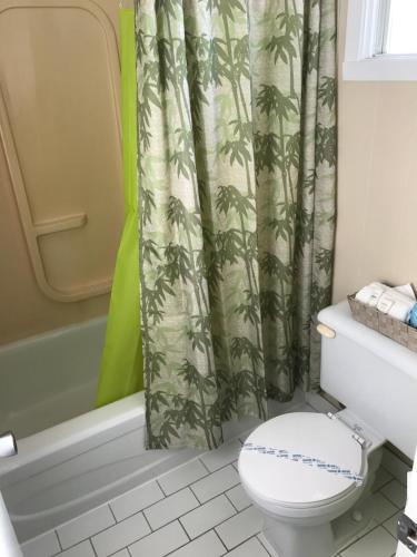 a bathroom with a toilet and a shower curtain at Motel Belle Riviere in Saint-Jean-sur-Richelieu