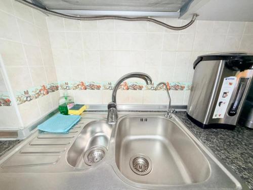 a kitchen counter with a sink and a mixer at 1 Double Budget Room Center Park in Chişinău