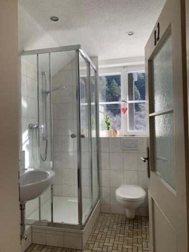a bathroom with a shower and a toilet and a sink at Fewo Moonshine 79 in St. Blasien