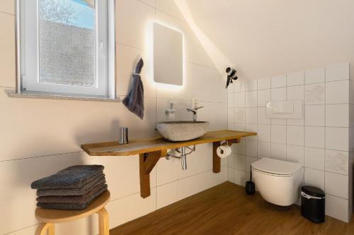 a bathroom with a sink and a toilet at Müllerleile Hof in Haslach im Kinzigtal