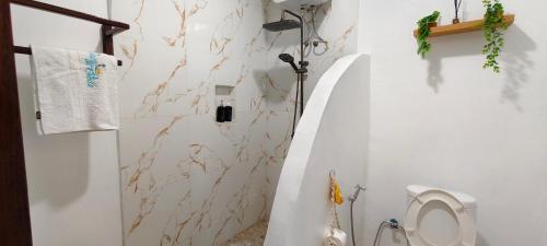 a bathroom with a toilet and a shower at Casa di Stella in Ngurblut