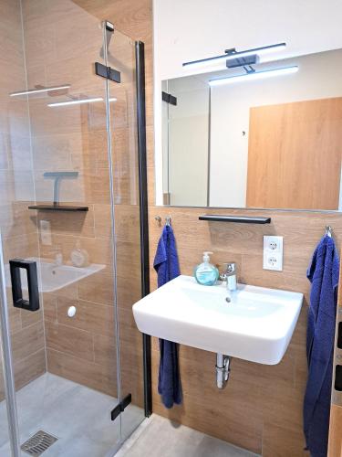 a bathroom with a sink and a shower at Ferienwohnung Abendsonne in Nagel
