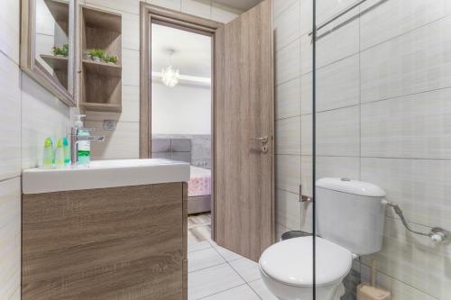a bathroom with a toilet and a sink and a mirror at Villa Dionysia Studio S3 in Alikanas