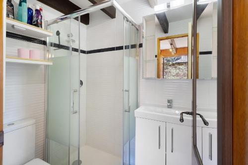 a bathroom with a shower and a sink and a toilet at Petit chalet mitoyen Pyrénées 2000 in Bolquere Pyrenees 2000