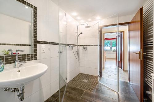 a bathroom with a sink and a shower at Ferienwohnung Tibo in Wimbach