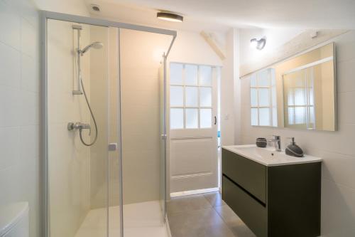 a bathroom with a shower and a sink at Le Gite De Luca in Husseren-les-Châteaux